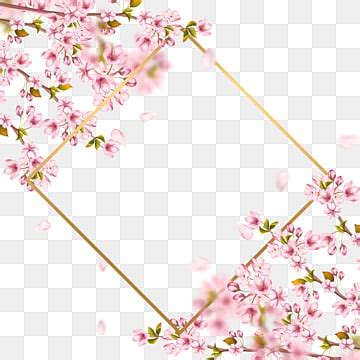 Spring Cherry Blossom Png Picture Spring Cherry Blossom Border Spring