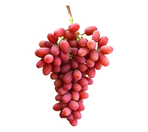 Crimson Seedless Grapes – primefoods-eg.com