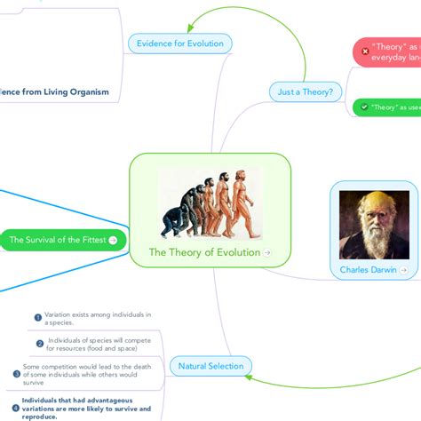 Darwin Theory Of Evolution Concept Map Map