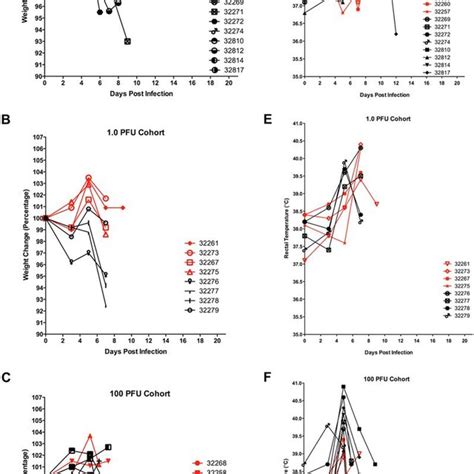 Weight And Temperature Measurements From Nhps Exposed To Low And Download Scientific Diagram