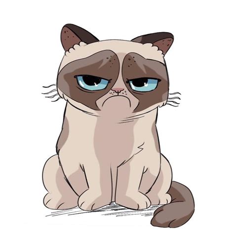 Grumpy Cat RealGrumpyCat Grumpy Cat Cartoon Cat Art Cartoon Cat