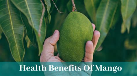 Everything You Need To Know About The Benefits Of Mango Ohm