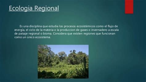 Tipos De Ecologia