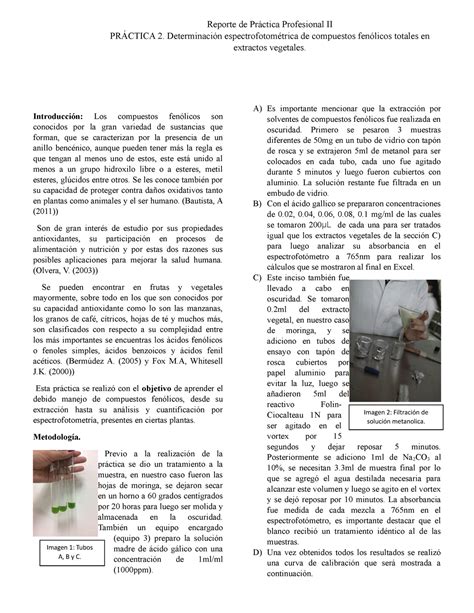 Reporte Determinaci N Espectrofotom Trica De Compuestos Fen Licos