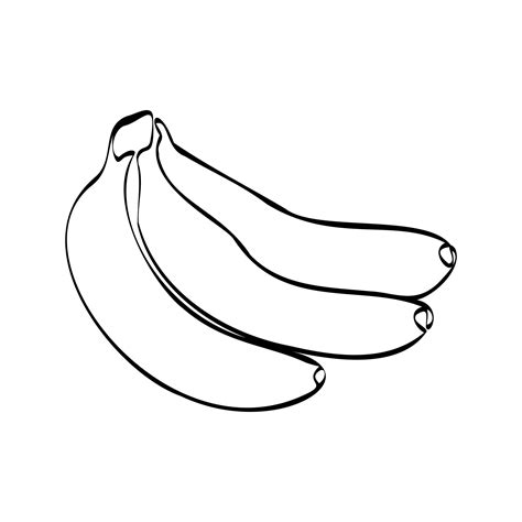 Continuous one line drawing banana. Vector illustration. Black line art ...