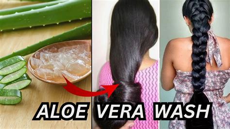 My Aloe Vera Hair Wash Routine How To Apply Aloe Vera Gel In The