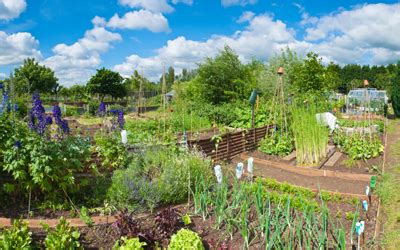 How To Start An Allotment JParkers