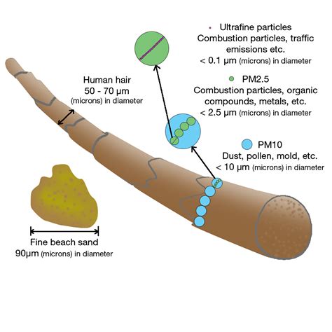 Particulate matter, how small is it? - VFA Solutions