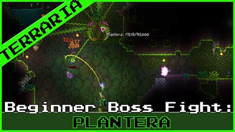 Terraria Beginner Boss Fight Plantera On Expert Mode For The First Time Terraria Gameplay