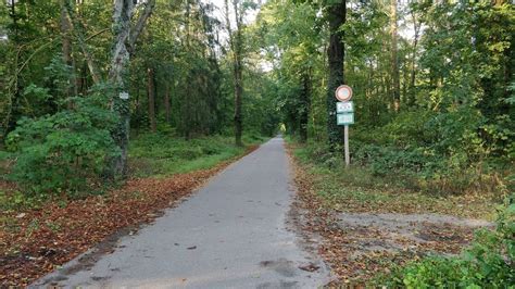 Radfahren In Stutensee Mit Dem Rad Durch Den Hardtwald Meinstutensee De