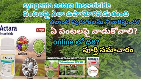 Actara Insecticide Telugu Syngenta Actara Uses Actara Mirchi