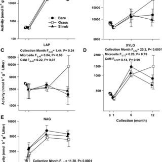 Activity for a β 1 4 glucosidase BG b acid phosphatase PHOS c