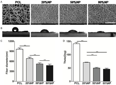 Characteristics Of PCL And NP PCL Electrospun Sheets 3 7 Ratio Of