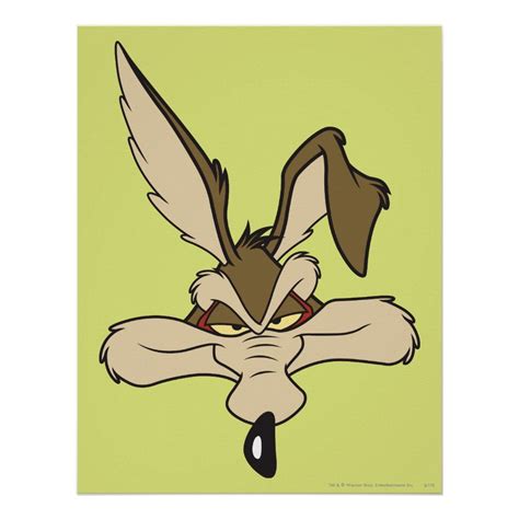 Wile E Coyote Character Art Old Cartoon Characters Looney Tunes