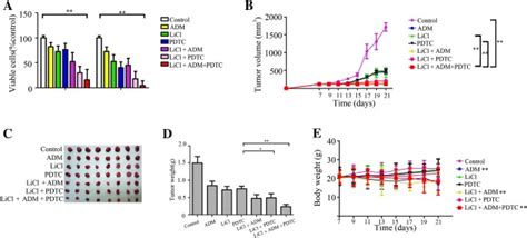 Glycogen Synthase Kinase 3β Nf κb Signaling And Tumorigenesis Of