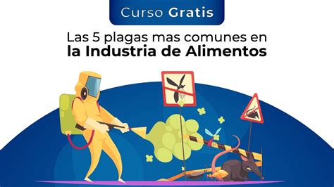 Curso Gratis Las 5 Plagas Mas Comunes En La Industria De Alimentos