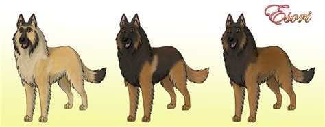 Belgian Tervuren Colors by LadyEsori on DeviantArt