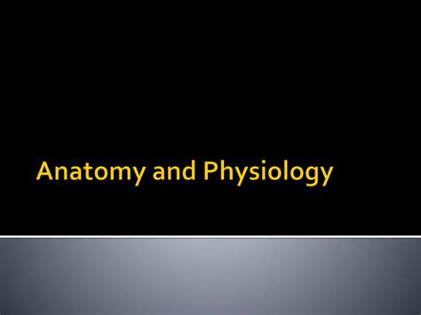 Ppt Anatomy And Physiology Powerpoint Presentation Free Download