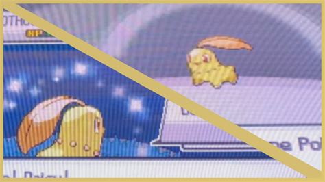 LIVE Shiny Chikorita after 306 SRs in Pokémon Heartgold YouTube