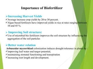 Role Of Biofertilizer In Agriculture PPT