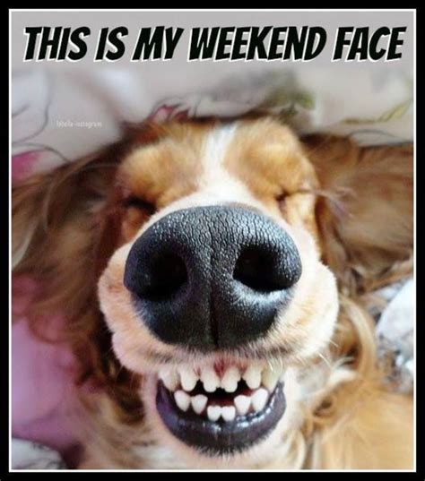 11 Quotes To Get Ready For The Weekend