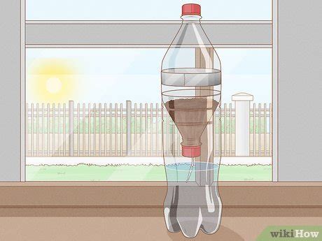 3 Formas De Crear Un Ecosistema En Una Botella WikiHow