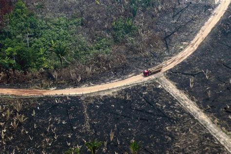 Incendios En El Amazonas Las Imágenes Más Impactantes De La