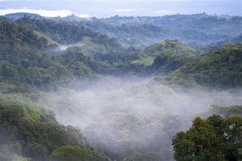 Los efectos del cambio climático ya son visibles en los bosques de San