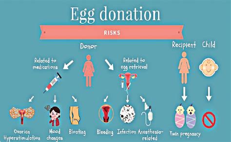 Women who carelessly donate eggs risk ovary shutdown, infertility ...