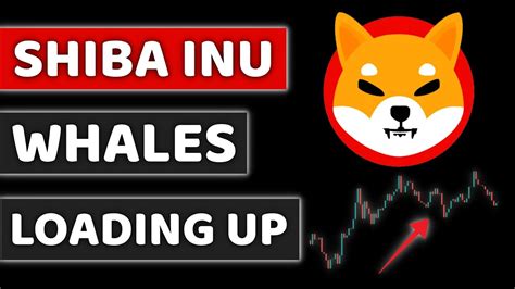 HUGE CATALYST COMING TOMORROW FOR SHIBA INU COIN YouTube