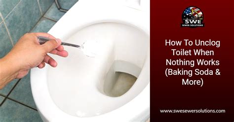 How To Unclog Toilet When Nothing Works Baking Soda And More Swe Shop