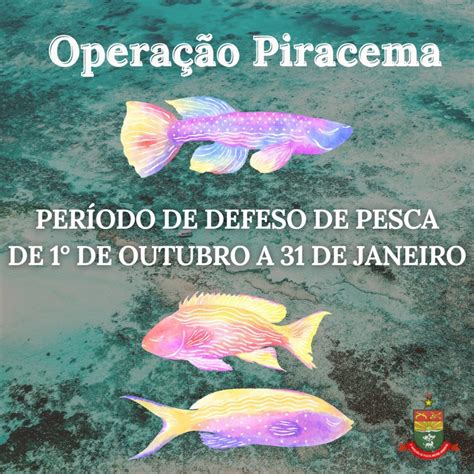 Inicia Hoje A Piracema Saiba O Que Proibido E O Que Pode Se Pescar