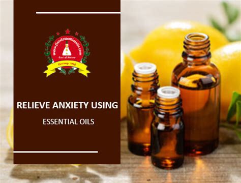 Essential Oils for Anxiety | Calming Oils for Stress & Anxiety