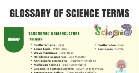 Science Terms | Science Words | Scientific Terminology • 7ESL