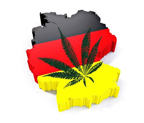 Legalizacja Marihuany W Niemczech Nasiona Marihuany Niemcy