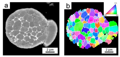 The Solidification Microstructure Of The Al7075zr A Powder Particle A Download Scientific