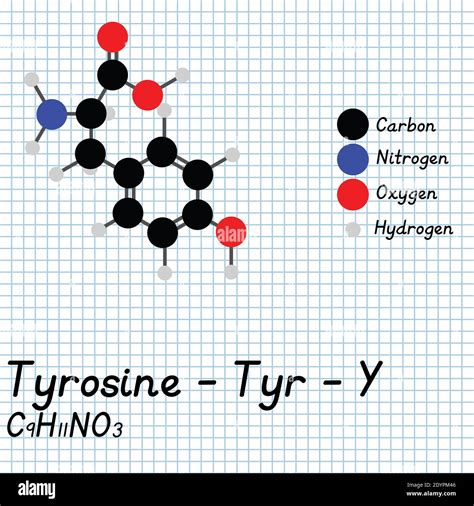 Tyrosine - Tyr - Y Amino Acid molecular formula and chemical structure ...