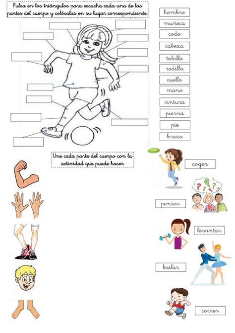 Ficha Online De Partes Del Cuerpo Para 1º Y 2º Puedes Hacer Los