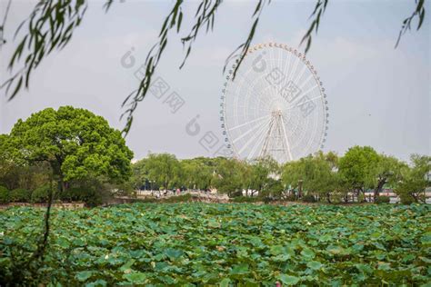 江苏省无锡蠡园 包图企业站