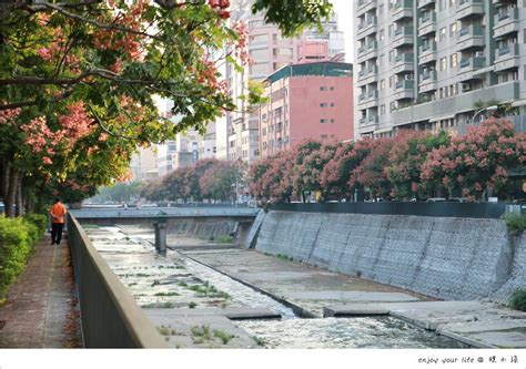 台版清溪川？台灣欒樹染紅了台中 輕旅行