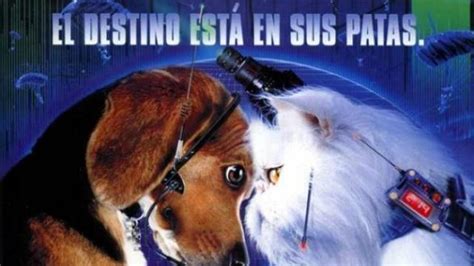 Peliculas De Perros Para Ninos