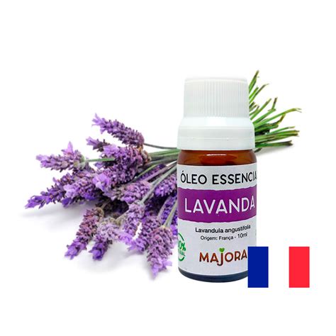 Descobrir Imagen Lavanda Origem Br Thptnganamst Edu Vn