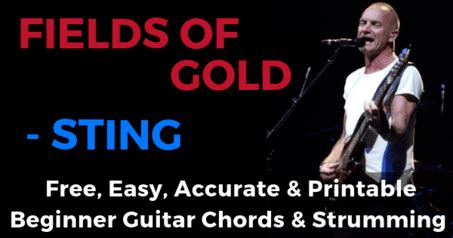 Sting Fields Of Gold Chords And Strumming The Guitar Process