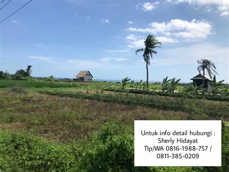 Dijual Tanah Kosong View Sawah Gunung Laut Di Pantai Kelating