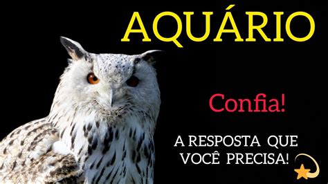 AQUÁRIO OLHA O QUE VEM PRA VOCÊ RECEBA E AGRADEÇA tarot aquário