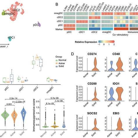 The Immunosuppressive Phenotype Of Solid Luad Derived Dcs A Umap Plot