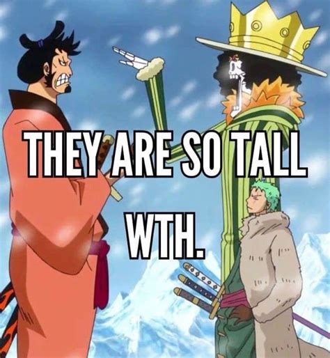 Pin by ~$~ɴᴏʙᴏᴅʏ~$~ on Dine pins | One piece funny moments, One piece