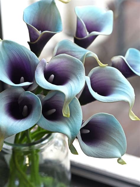 Fiveseasonstuff 10 Stems Real Touch Blue Purple Calla Lilies