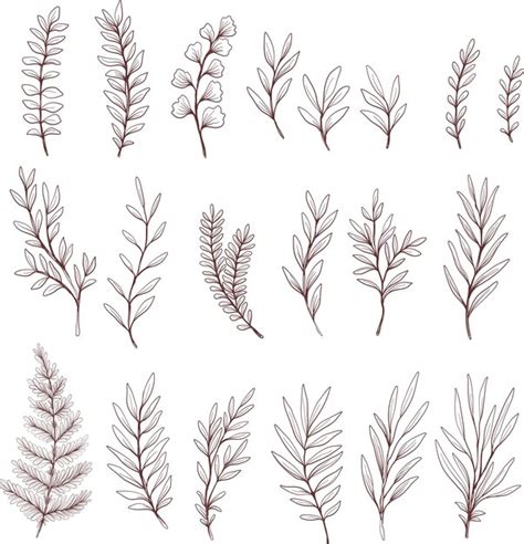 Premium Vector Leaves Set