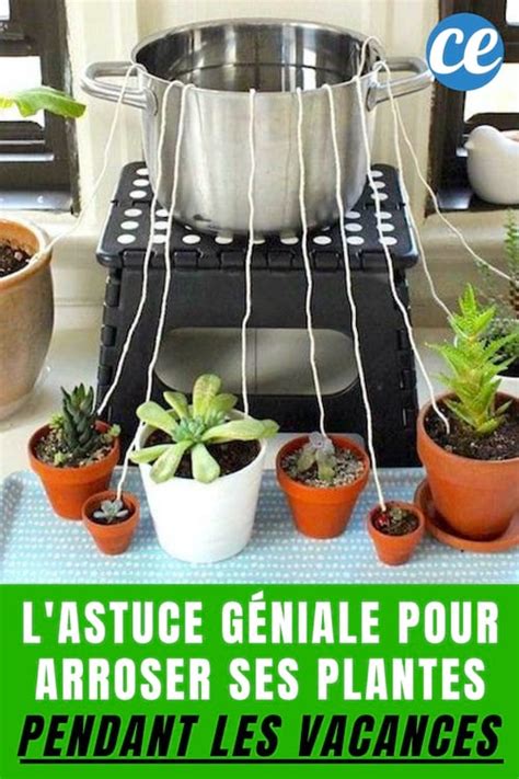 Comment Arroser Ses Plantes Pendant Les Vacances L Astuce De G Nie